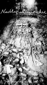 Kiefer, Anselm - 1991 - (Nachtschattengewächse) Galerie Lambert