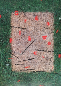Loesch, Uwe - 1992 - Museum für Kunsthandwerk Frankfurt (Grünflächen)