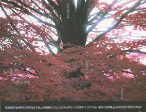 Barry, Robert - 1981 - Gallery Leo Castelli New York (Hoped for...)