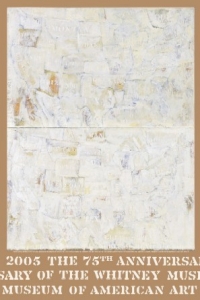 Johns, Jasper - 2005 - Whitney Museum (Double White Map)