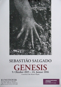 Salgado, Sebastiao - 2015 - Versicherungskammer München