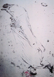 Beuys, Joseph - 1982 - Solidarnosc Incarnat