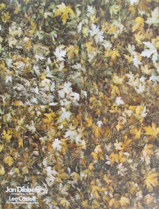 Dibbets, Jan - 1975 - Leo Castelli New York (Einladung)