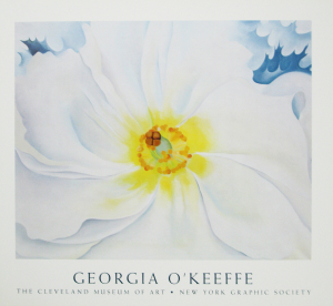 OKeeffe, Georgia - 1991 - Cleveland Museum of Art New York (white flower)
