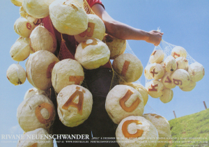 Neuenschwander, Rivane - 2001 - Portikus Frankfurt (Spell)
