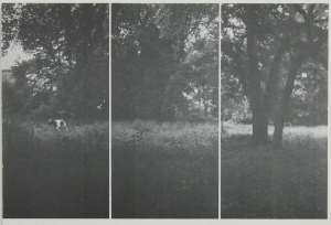 Richter, Gerhard - 1973 - Kabinett für aktuelle Kunst (Parkstück)