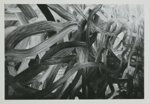 Richter, Gerhard - 1972 - Konrad Fischer Düsseldorf