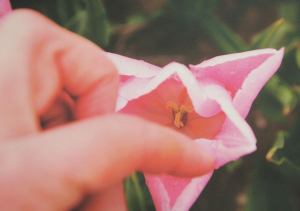 Rist, Pipilotti - 2011 - Kunsthalle Bremen