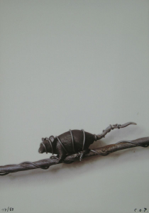 Paeffgen, C.O. - 1999 - Museum Ludwig Köln