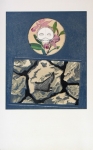 Ernst, Max - 1968 - Galerie Chave (Déchets dAtelier)