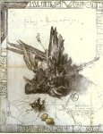 Janssen, Horst - 1979 - (Toter Vogel) Kunstverein Hamburg
