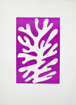 Matisse, Henri - 1952 - Galerie Der Spiegel Köln (Algue blanche sur fond viole)