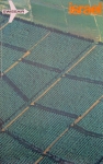 Schulthess, Emil - 1972 - Swissair Israel