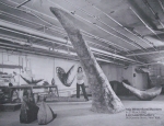Westerlund Roosen, Mia - 1982 - Leo Castelli Gallery New York