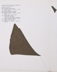 Castro, Lourdès - 1969 - Studio Marconi, Milano (Serigrafie e Multiplie)