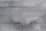 González-Torres, Félix - 1993 - Art Publishers New York ( Rollins - Cahan - Avgikos)