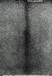 Gonschior, Kuno - 1970 - Galleria. acme Brescia