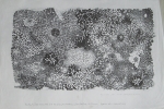 Onslow-Ford, Gordon - 1962 - M. H . de Young Memorial Museum (Man is Space)