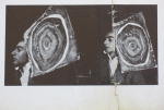 Hundertwasser, Friedensreich - 1955 - Galleria del Naviglio (invitation)