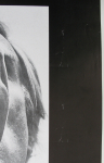 Warhol, Andy - 1973 - Andy Warhol by Arnold Newman