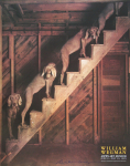 Wegman, William - 1995 -  Aspen Art Museum (Barn Stairs)