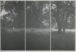 Richter, Gerhard - 1973 - Kabinett für aktuelle Kunst (Parkstück)