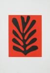 Matisse, Henri - 1952 - Galerie Der Spiegel Köln (Algue noire sur fond rouge)