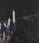 Barney, Matthew - 2007 - Mönchehaus Goslar (De Lama Lamina)